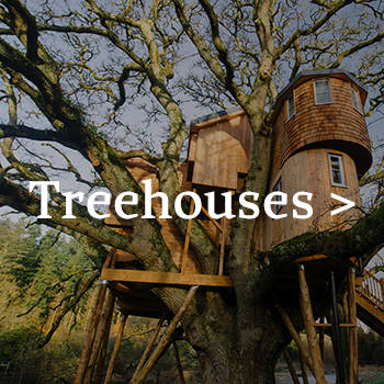 Treehouses 2