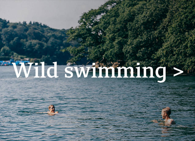 Wild swimming image